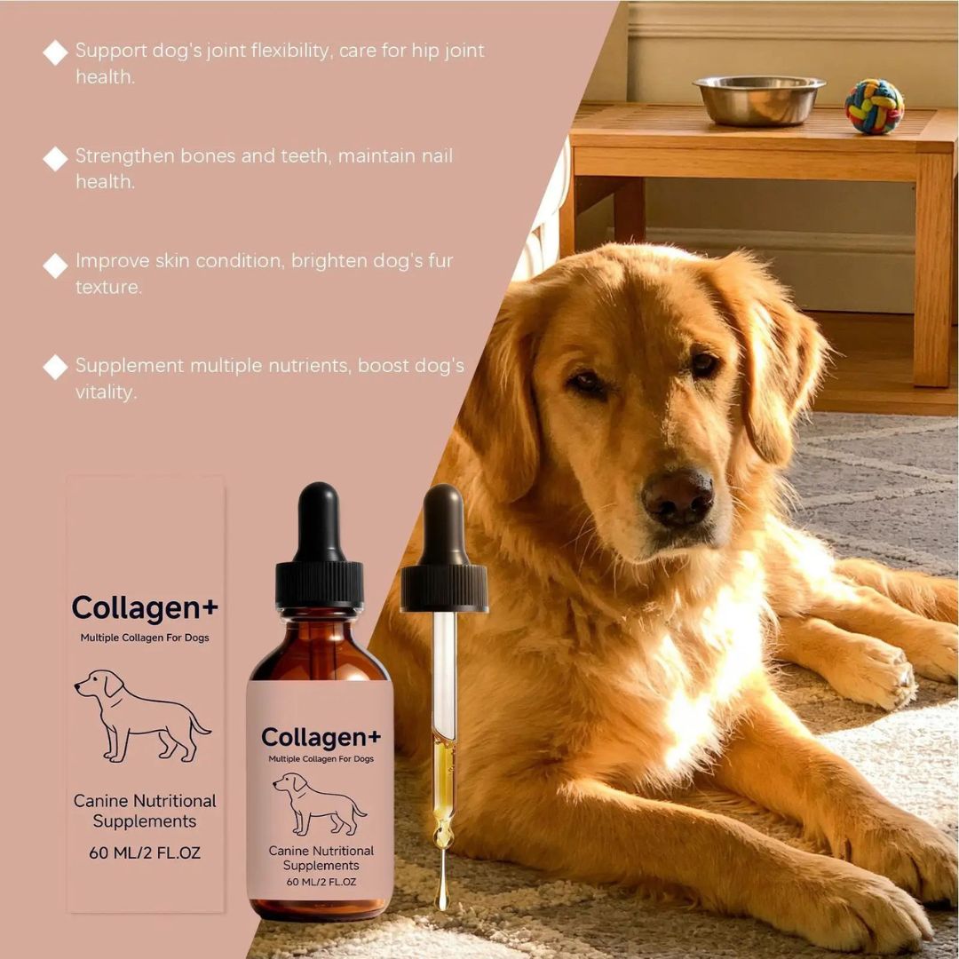 FurColl™ Dog Collagen