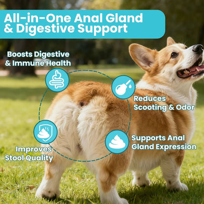 PawRelief™ Gland Support