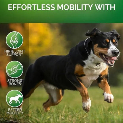 JointPaw™ Mobility Chews