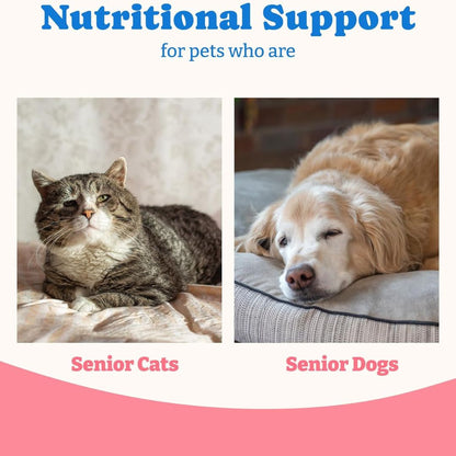 NutriPaw™ Energy Gel
