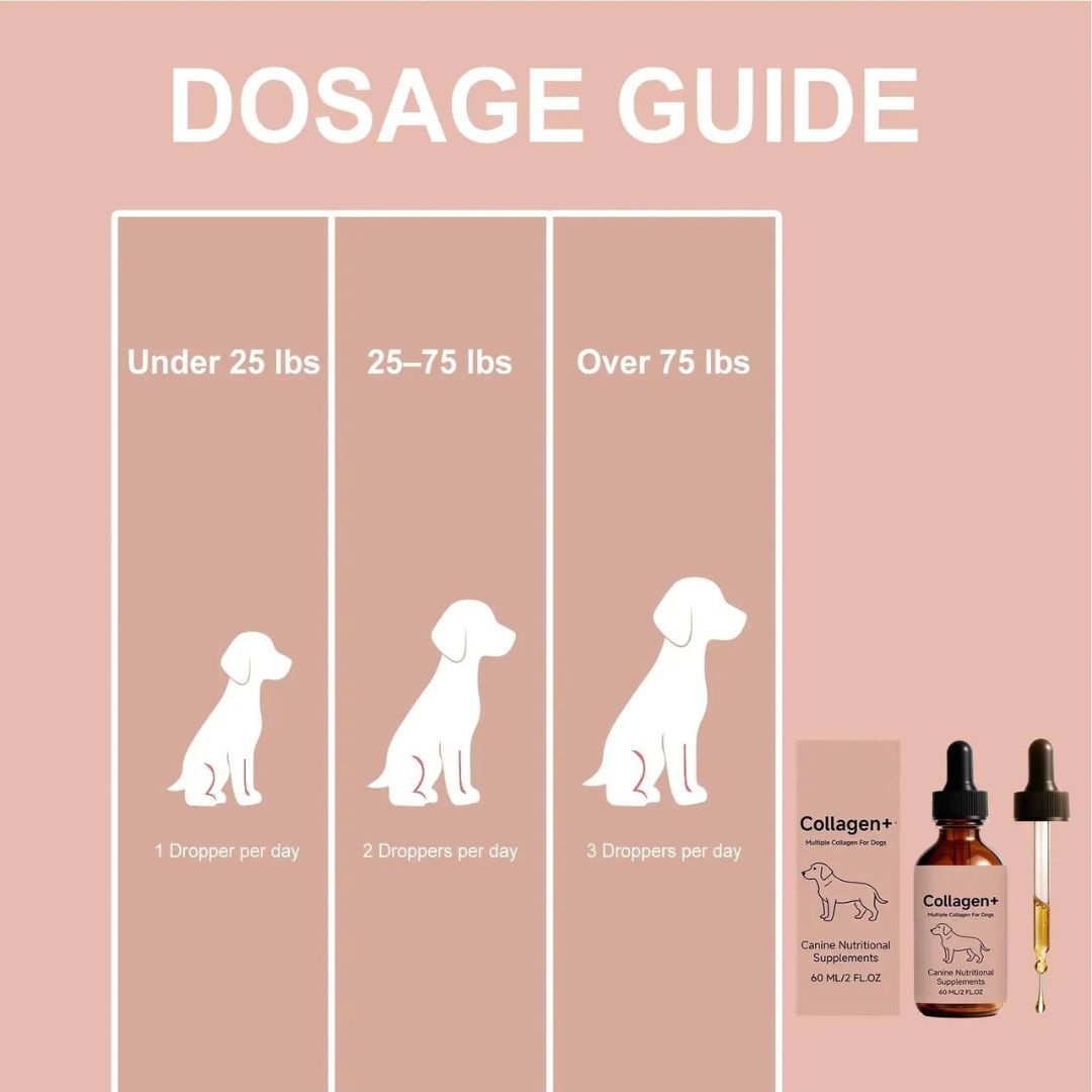 FurColl™ Dog Collagen