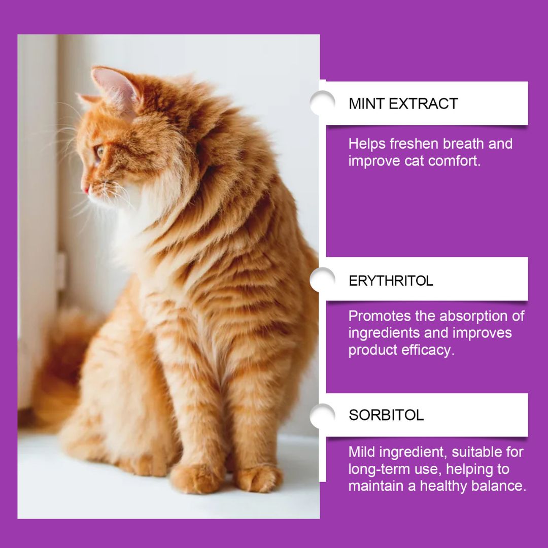 VitaCat™ Daily Support
