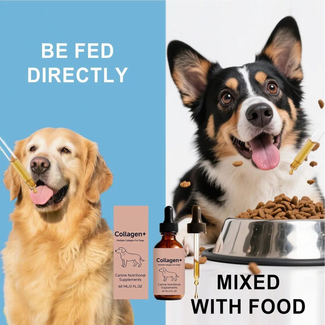 FurColl™ Dog Collagen
