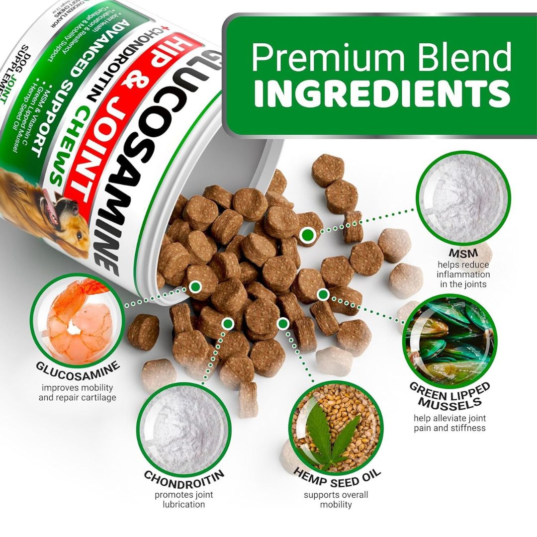 JointPaw™ Mobility Chews