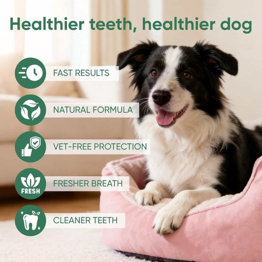 FreshBite™ Pet Dental Spray