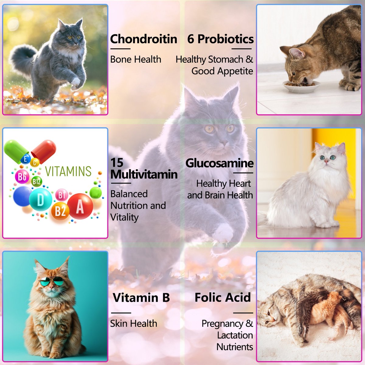 VitaCat™ Daily Support